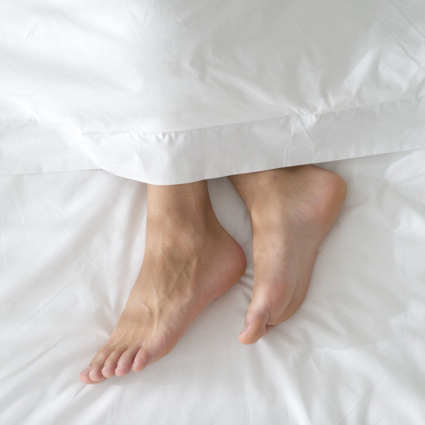 Standard Set: 1 Duvet + 2 Duvet Cover